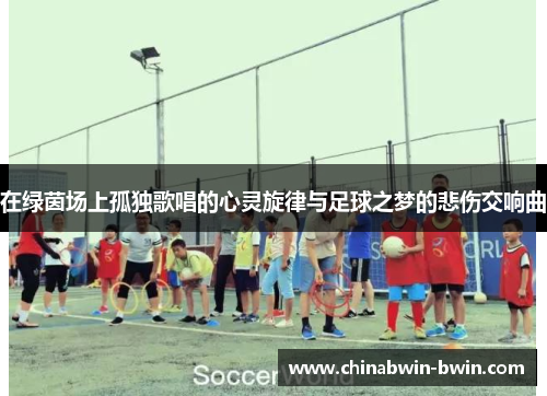 在绿茵场上孤独歌唱的心灵旋律与足球之梦的悲伤交响曲