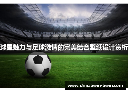 球星魅力与足球激情的完美结合壁纸设计赏析